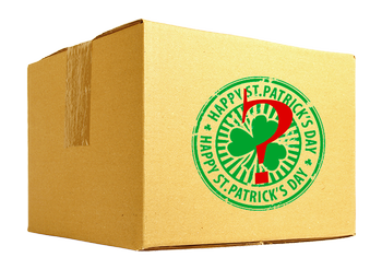 Mystery Case